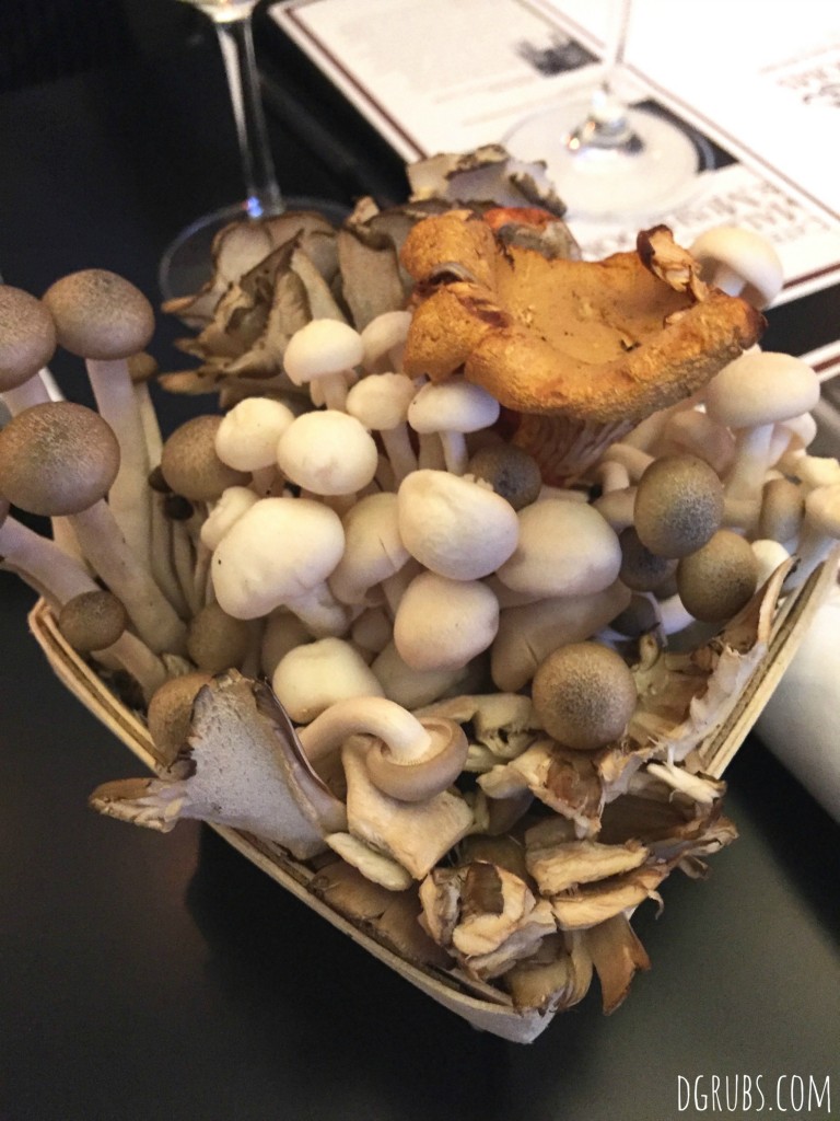 Malbec and Mushrooms 3